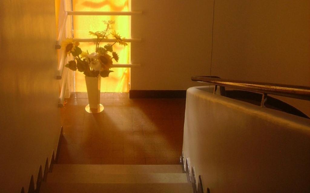 موبيج Rex Hotel المظهر الخارجي الصورة